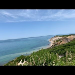 Meet your Posher, Stevie